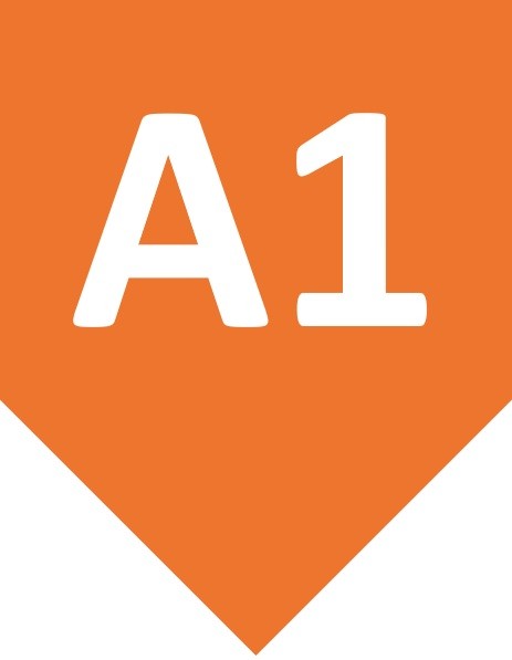 a1